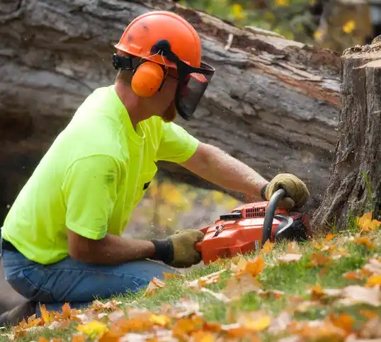 tree services Farmville